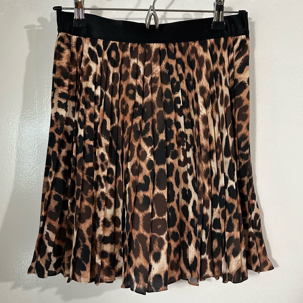 Express skirt
